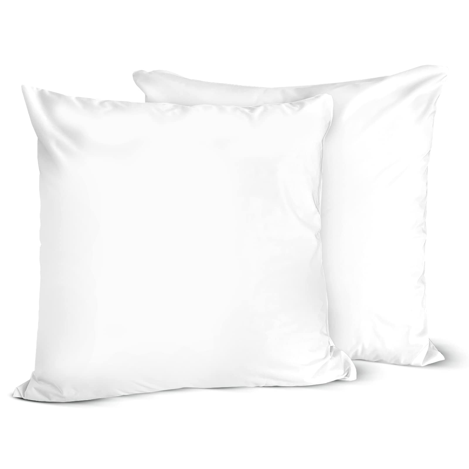 Euro Size Pillow Protectors (Set Of 2) - European Square 16X16 Pillow Covers Waterproof Hypoallergenic Dust Proof Zippered Encas